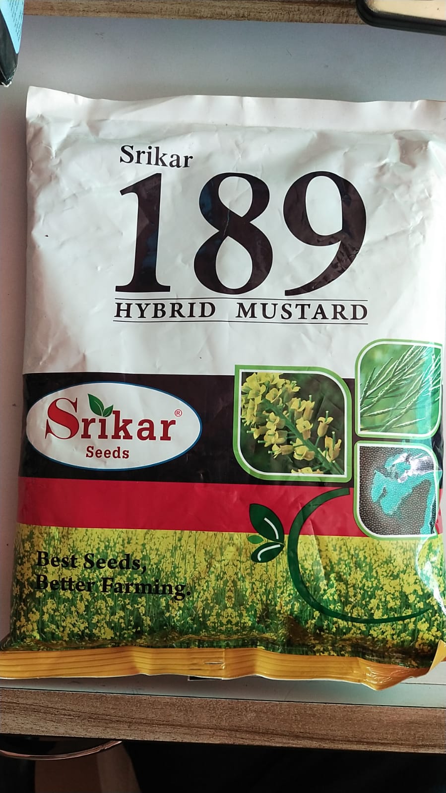 Hybrid Mustard